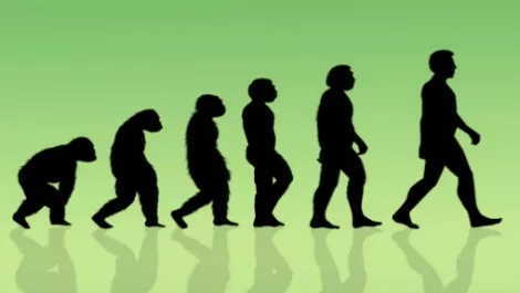 The absolute necessity to reinvent your business