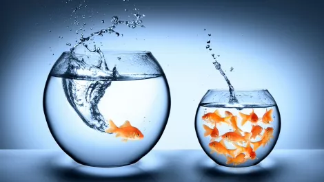 What makes a successful managed service provider?