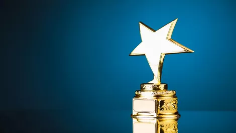 Finalists for NZ's Excellence in IT Awards named
