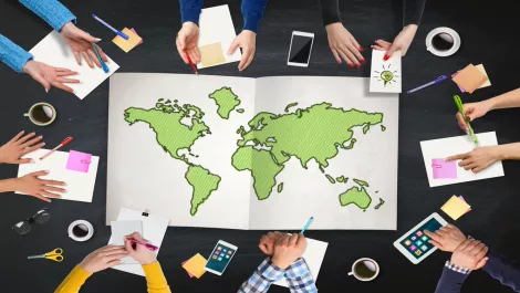 Kiwis don't have to face growing tech skills shortage alone