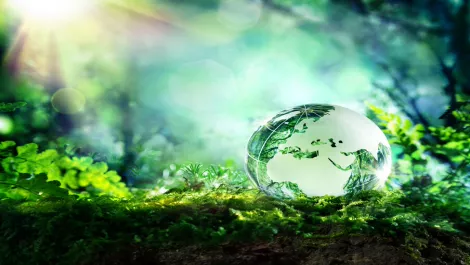 ZTE unveils next gen green data center