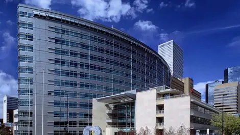 Wellington office market bounces back