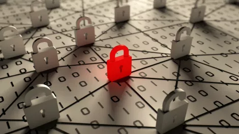 Interview: Hivint's cofounder on Security Colony & the power of the hive approach