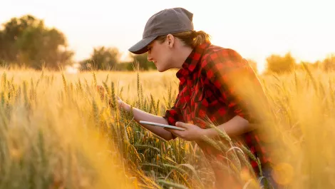 Farmers looking for data to help change bad habits