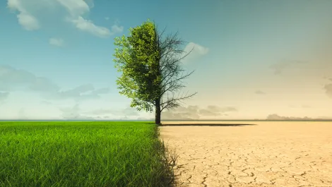 Tecala commits to climate change activism with latest announcements